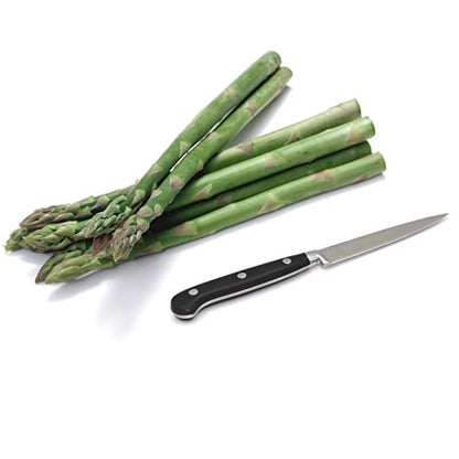 Kitchen Utility Knife - MATTSTONE HILL 4.3" Paring Knife, Vegetable Knife, German Steel, Triple Rivet Handle - size: 4.3"