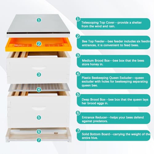 2pcs Bee Hive Feeder, Plastic Bee Top Feeder Langstroth 10 Frame Easy to Use Bee Feeding Tools in Hive Bee Feeder for Beekeeper Beekeeping Supplies - size: 2PCS