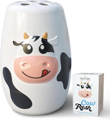 Sliced Cheese Container for Fridge and Fridge Deodorizer Odor Eliminator