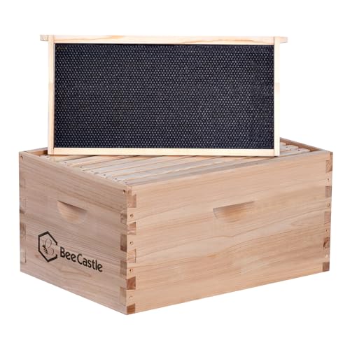BeeCastle 8 Frame Deep Brood Bee Hive Box, Langstroth Honey Bee Hive Include Beehive Frames and Waxed Foundations (Unassembled) - size: 8 Frame