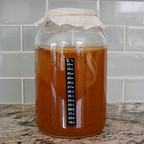 Bucha Brewers Kombucha SCOBY & Starter Tea - 8 Ounces Strong Starter Tea & Live kombucha SCOBY grown on ORGANIC sugar and black tea blend