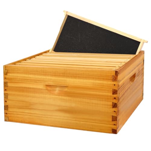 10 Frame Bee Hive Box, Langstroth Deep Brood Bee Box Dipped in Beeswax Include Beehive Frames and Waxed Foundation Sheets (Unassembled) - size: Brood Box