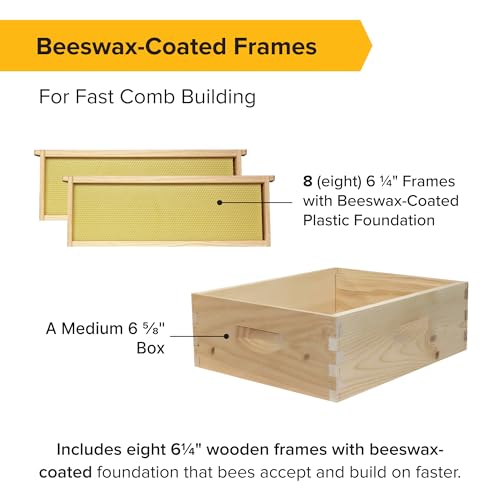 Mann Lake 8-Frame Medium Super Kit, Fully Assembled 6⅝" Super Box with 8 Durable Frames & Beeswax-Coated Plastic Foundation for Honey Storage, Beekeeping and Hive Expansion, Made in USA, Unpainted - color: Not Painted Deep Hive Kit