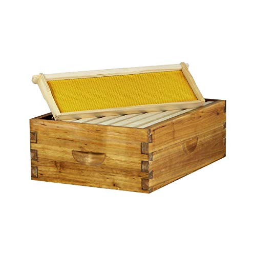 8 Frame Hoover Hives Wax-Coated Medium Super