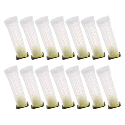 Queen Bee Cage 100Pcs Roller Cage Plastic Bee Queen Rearing for Safe Transport Breeding Inspection Honey Production for Beekeeping Supplies