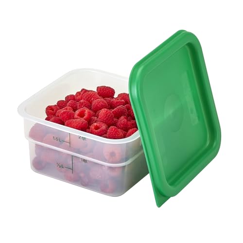 Cambro Food Storage Container - Classic Series Square - 2 QT (Quart) - Commercial Grade for Food Prep (Translucent) - size: 2 QT