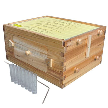Auto Super Box for Beekeeping, 7-Frame Honey Super with Windows, Complete Bee Box Supplement with 7 Auto Super Frames, Key & Tubes