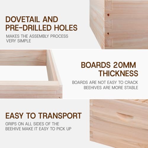 8 Frame Medium Super Beehive Box,Langstoth Super Honey Bee Hive Box, Include Beehive Frames and Waxed Foundations - size: 8 Frame