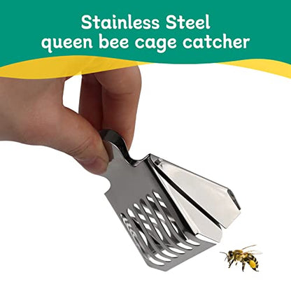 Beekeeping Bee Queen Cage Catcher Clips, Stainless Steel Beekeeper Catching Tool,Beekeeping Equipment (6 Pack)