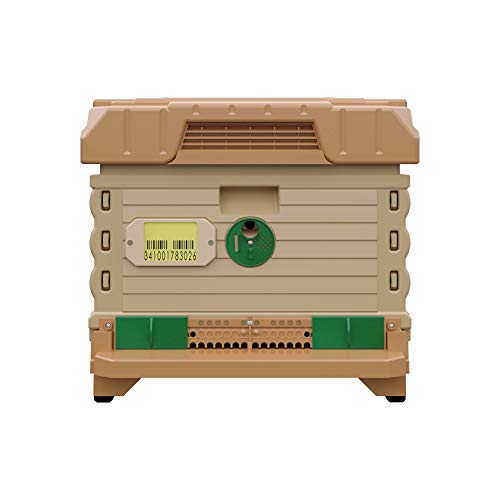 Apimaye Ergo Insulated 10 Frame Bee Hive Set [NO Frames Included] (Single Hive, Tan Body Green Entrance) - color: Tan Body Green Entrance