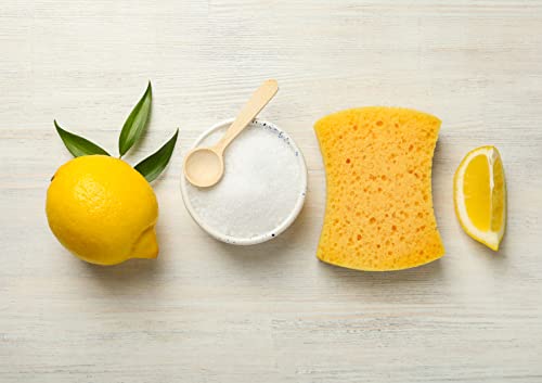 Food to Live Citric Acid Powder, 8 Ounces - Anhydrous, Fine Granules, Food Grade Lemon Salt, Great for Cheese Making, Household Cleaner and Preservative, Good for Bath Bombs, Kosher, Sour Salt in Bulk - size: 8 Ounce (Pack of 1)