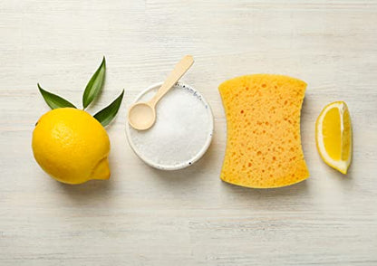 Food to Live Citric Acid Powder, 8 Ounces - Anhydrous, Fine Granules, Food Grade Lemon Salt, Great for Cheese Making, Household Cleaner and Preservative, Good for Bath Bombs, Kosher, Sour Salt in Bulk - size: 8 Ounce (Pack of 1)