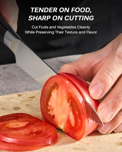 KYOKU 5.5 in. Serrated Utility Knife, Samurai Series Japanese Utility Chef Knife with Pakkawood Handle, German 1.4116 Stainless Steel Full Tang Sandwich Tomato Knife with Protective Sheath & Gift Box - size: 5.5", style: Utility Knife