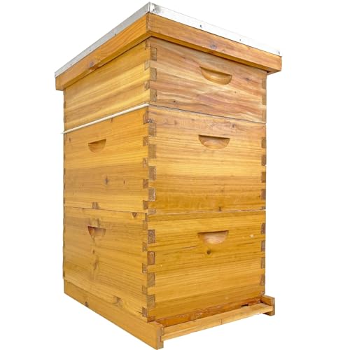 Langstroth Bee Hive with Beeswax Includes Beehive and Waxed Foundations Includes 2 Deep Bee Boxes, 1 Medium Bee Hive Super for Beginners (3-Layer)