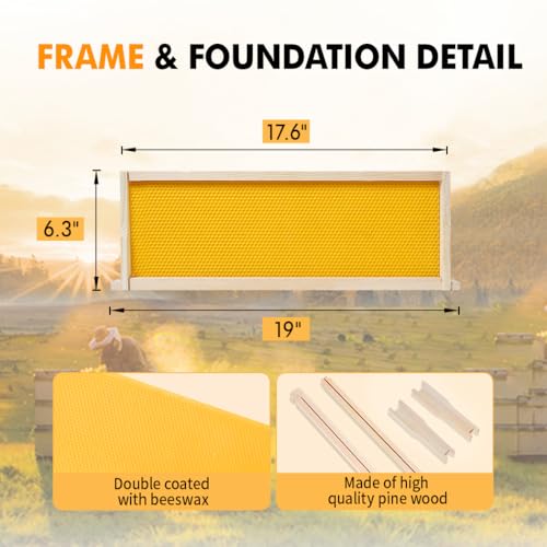 10 Frame Medium Super Beehive Box Wax Coated Bee Hives Includes Beehive Frames and Waxed Foundations (Unassembled) - size: Medium super box