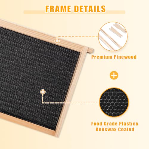 POLLIBEE 10-Frame Bee Hives and Complete Starter Kit, Bee Hives Boxes Includes 2 Deep Bee Box 2 Medium Bee Hive Box with Beehive Frames and Beeswax Coated Foundation Sheets(4 Layers) - size: 2 Super+2 Deep