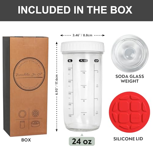 Fermentation Kit with Mason Jar – Fermentation Lids & Glass Weight, Burping Lids for Mason Jars, Easy Vegetable Fermenting Jar Starter Set for Pickles & Sauerkraut