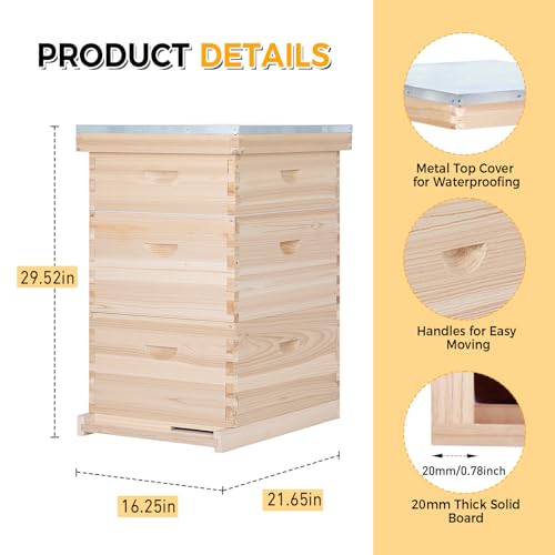 BeeCastle 10-Frame Complete Bee Hives and Supplies Starter Kit,Beehives for Beginners with Beehive Frames and Waxed Foundations (2 Deep Bee Boxes & 1 Medium Super Bee Box) - size: 2 Deepes & 1 Medium