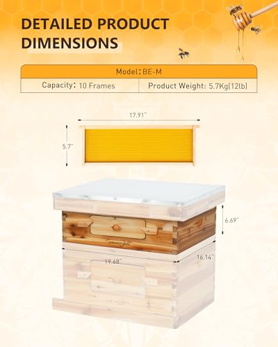 10-Frame Langstroth Medium Super Bee Hive Box with Frames | Medium honey super with 10 frames, foundation, beeswax-coated cedar box, and observation window for hive expansion - size: Medium Bee Box