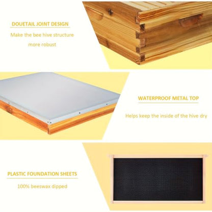 10-Frame Complete Beehive Kit, 2-Layer Langstroth Beehive with Full Beeswax-Coated Foundation Sheet, Complete Starter Beekeeping Kit for Beginners & Professional Beekeepers (2-Layer) - size: 2-Layer