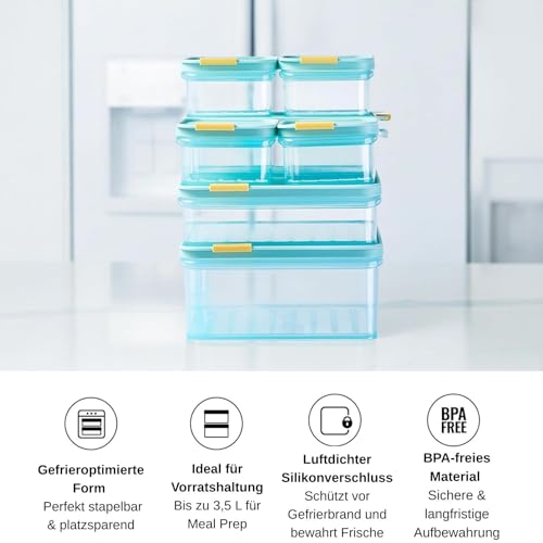 LocknLock Freezer Fit Plastic Freezer Containers | Airtight Stackable Food Storage for Meal Prep | Microwave & Dishwasher Safe | BPA Free Freezer Container with Lid, 750ml - size: 750ml