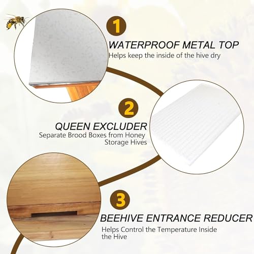 5-Layer Bee Hive, Beehive Kit Langstroth Bee Hive Coated with 100% Beeswax Includes 2 Deep Bee Boxes, 3 Medium Bee Hive, NO Frame