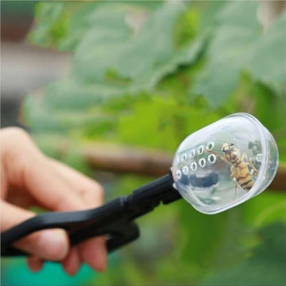 Queen Bee Cage 6pcs Bee Catching Clip Bee Queen Transfering Tool Beekeeping Apiculture Isolation Cage Room Reptile Feeding Clip
