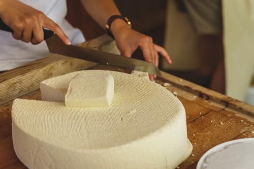 5 x Cuajo RENNET Tablets For any type of cheese 5 TABLETS FOR 250L OF MILK