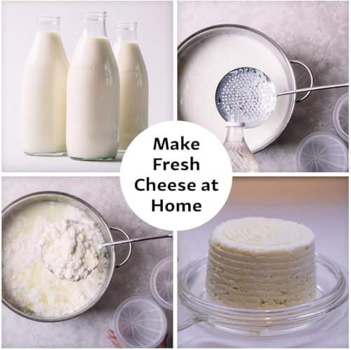 Cheesemaking Molds - Ricotta Cheese Draining Baskets for Home Cheese making Made in Italy - size: Set of 5