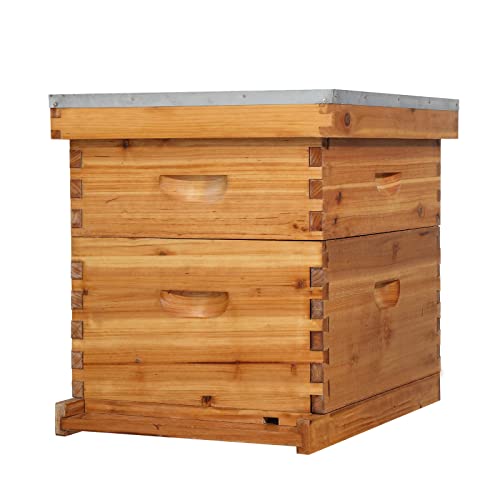 VINGLI 10 Frame Langstroth Beehive Starter Kit, Beeswax Coated 2 Layer Complete Bee Hive, 1 Deep Brood Box & 1 Medium Super Box with Frames and Waxed Foundations for Beekeepers - style: 2 Layer