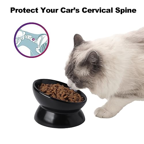Elevated Ceramic Cat Bowl, 15° Tilted Raised Food & Water Dishes, Anti-Vomiting & Neck Protection Pet Feeder for Kittens, Small Dogs (5.2", Black, 2pc Set) - color: Black, size: 5Inch-2pc