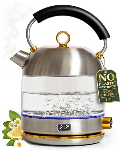 Stainless Steel Electric Kettle with Temperature Control - BPA and Plastic Free Electric Kettle with Keep Warm Function, Borosilicate Glass - Fast 1500W Hot Water Boiler, Auto Shut-Off - color: Stainless Steel
