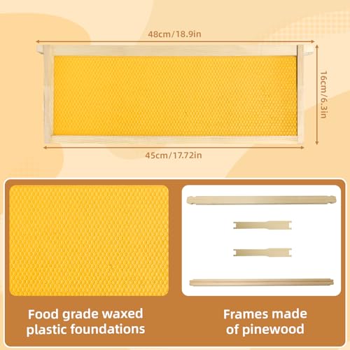 BeeTech 10 Frame Beehive Middle Box Super Bee Box Painted for Sale Bee Hives with Windows - size: Medium Box