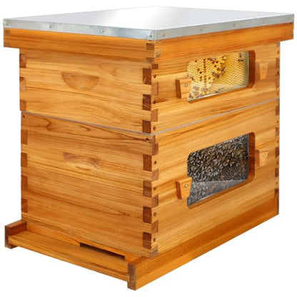 Honey Lake Bee Hive with Windows, 8 Frame Langstroth Complete Beehive Starter Kit Dipped in Beeswax with Beehive Frames and Waxed Foundations (1 Deep Brood Bee Hive Box & 1 Medium Super Bee Box)