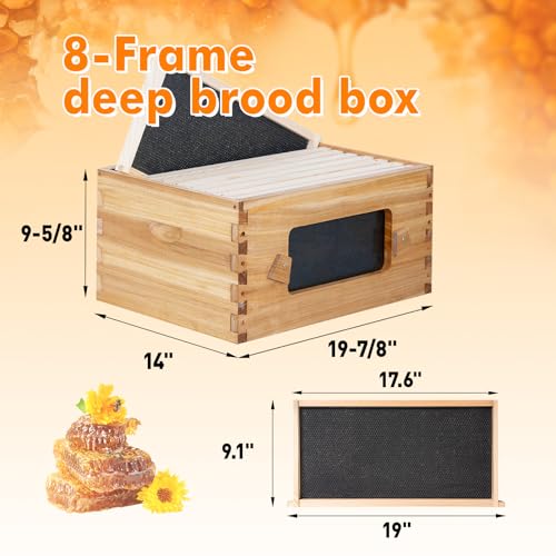8 Frame Bee Hive Starter Kit with Windows, Beeswax Coated Langstroth Bee Hives Boxes for Beekeepers with Beehive Frames and Waxed Foundations (1 Deep Brood Bee Box & 1 Medium Super Box) - size: 8 Frames 2 Layers
