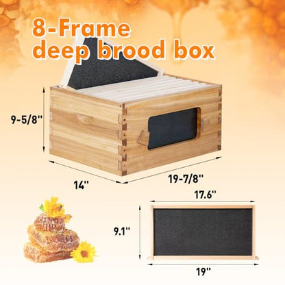 8 Frame Bee Hive Starter Kit with Windows, Beeswax Coated Langstroth Bee Hives Boxes for Beekeepers with Beehive Frames and Waxed Foundations (1 Deep Brood Bee Box & 1 Medium Super Box) - size: 8 Frames 2 Layers
