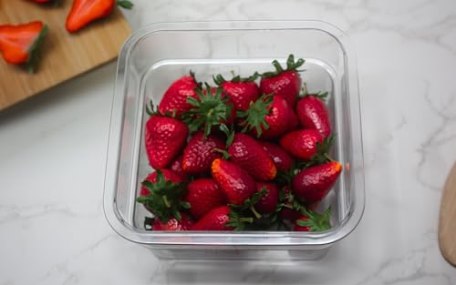 Cambro Food Storage Container - Classic Series Square - 2 QT (Quart) - Commercial Grade for Food Prep (Clear) - size: 2 QT