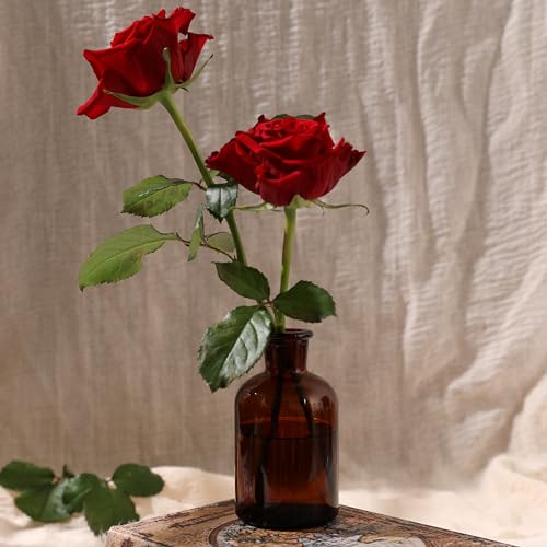 Magic Season Decorative Round Glass Bottles with Cork Stoppers (2 Pcs/Amber / 4 fl oz.)