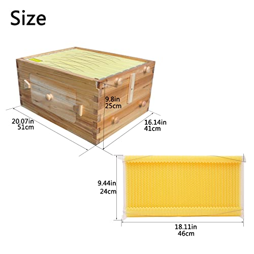 Auto Super Box for Beekeeping, 7-Frame Honey Super with Windows, Complete Bee Box Supplement with 7 Auto Super Frames, Key & Tubes