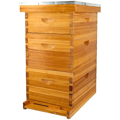 8 Frame Bee Hive Beeswax Coated Complete Beehive Kit Include Frames and Foundation Sheet for Beekeeping Supplies (Unassembled 2 Deep & 1 Medium Bee Boxes) - size: 8F-3Layer