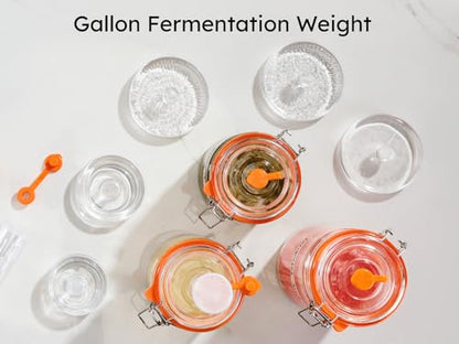 Jillmo Large Fermentation Weights for 1 Gallon Wide Mouth Jars, Heavy Glass Fermenting Weights with Easy Grip Handle, Keeps Vegetables Under Brine for Sauerkraut, Kimchi & Pickles, Pack of 4 - size: Plain - 4 Pack