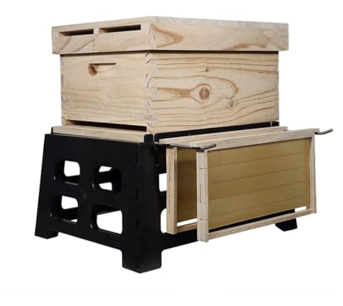 Beehive Stand Whit Frame Support Holder (10 Frames Langstroth Beehive), 10 Frame Langstroth Bee Hive Stand w/Frame Holder, Black Plastic Beehive Stand