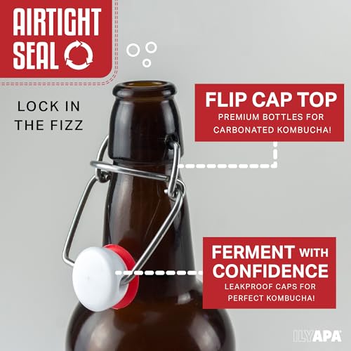 Ilyapa 16 Ounce Amber Swing Top Glass Bottles - 12 Pack Flip Top with Airtight Lid, for Home Brewing - Kombucha, Soda, Coquito, Kefir, Juice - color: Amber, size: 16oz