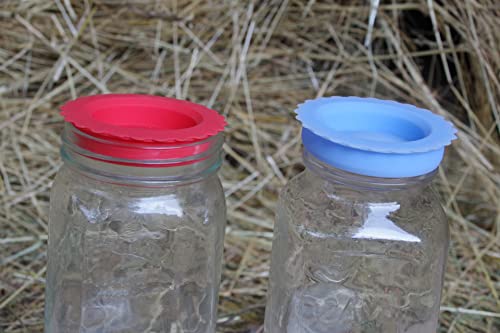 Masun Silicone mason jar lids Made to fit both Wide and Regular Mouth mason jar. (Red, Blue 8 Pack) - color: Red, Blue 8 Pack