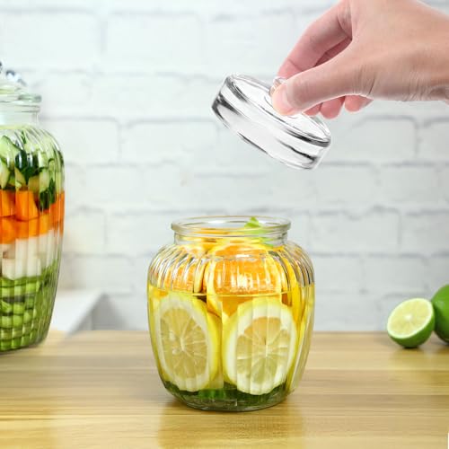 Glass Fermenting Weight for Wide Mouth Mason Jar, Safe Premium Glass Lid Handle, Silver