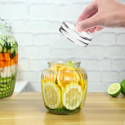 FUOYLOO Weighted Glass Lid for Wide Mouth Mason Jar, Smooth Round Fermenting Weight Handle, Silver