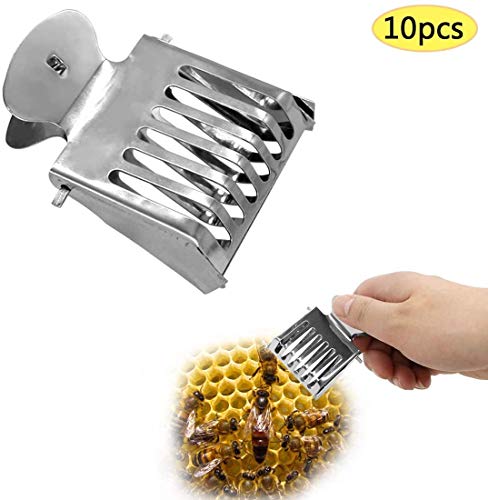 Together-life 10-Pack Stainless Steel Queen Bee Clips Cage Catcher for Beekeeping, Safe Queen Bee Handling Tool, Professional Beekeeper Equipment Supplies