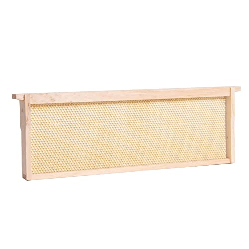 Stoney Acres Beekeeping Medium Nuc Box, Assembled Super or Brood Box with Plastic Foundation Frames for 5 Frame Honeybee Hives, Amish Made