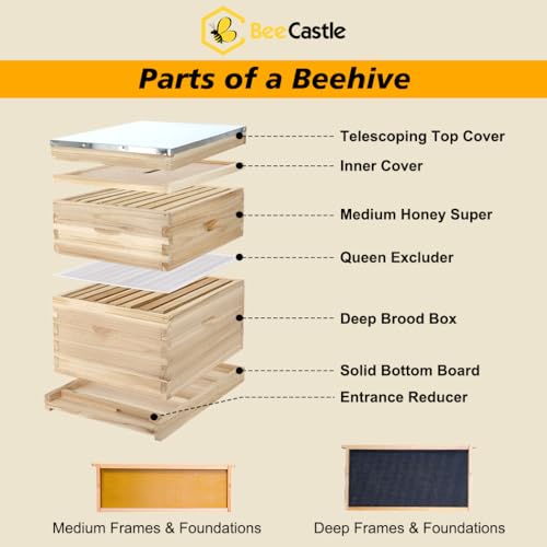 BeeCastle 8 Frame Langstroth Bee Hive, Beehive Starter Kit for Beginners with Beehive Frames and Waxed Foundation (1 Deep Box & 1 Medium Box)