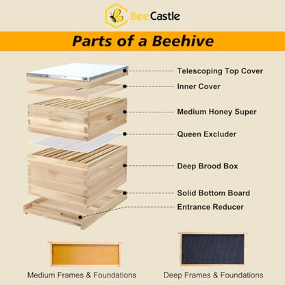 BeeCastle 8 Frame Langstroth Bee Hive, Beehive Starter Kit for Beginners with Beehive Frames and Waxed Foundation (1 Deep Box & 1 Medium Box)